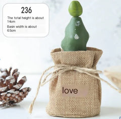 Decor Cactus Miniature - Faux Office Plant